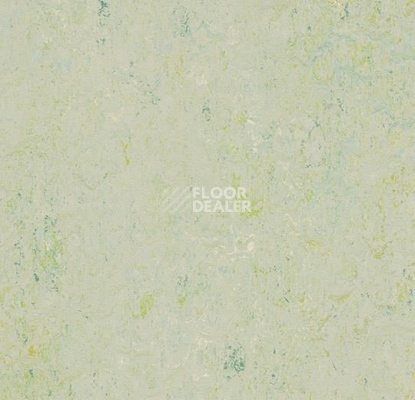 Линолеум Forbo Marmoleum Marbled Splash 3430-343035 salsa verde фото 1 | FLOORDEALER